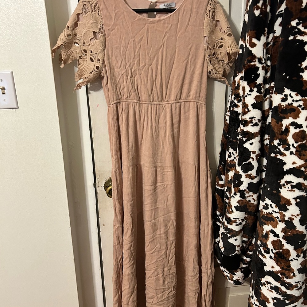 Elegant Lace Sleeve Tan Dress